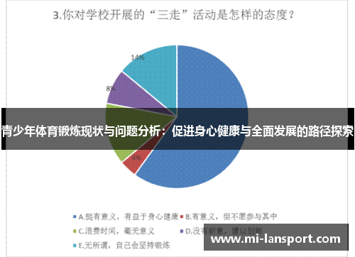 青少年体育锻炼现状与问题分析：促进身心健康与全面发展的路径探索