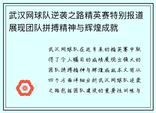 武汉网球队逆袭之路精英赛特别报道展现团队拼搏精神与辉煌成就